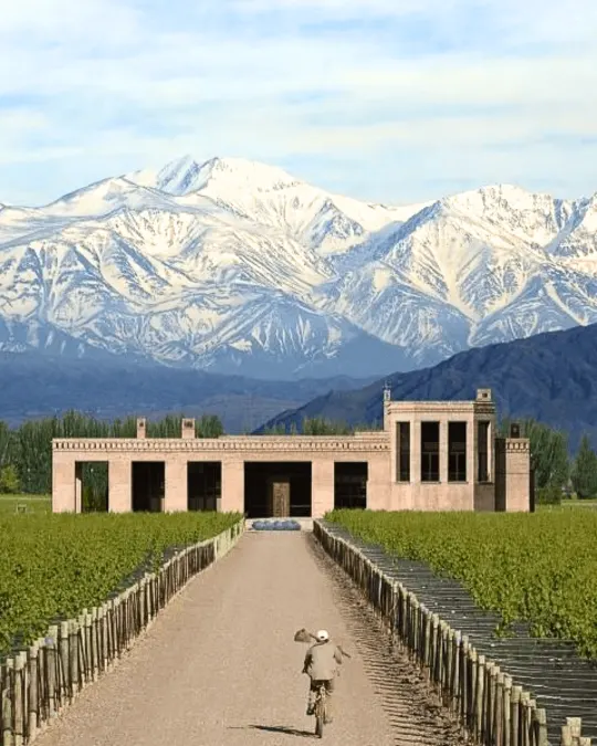 La Celia | Benchmark Bodegas